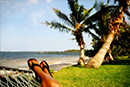 Nature Wildlfe & Lanscape Artistic Photo Gallery