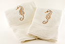 Product Photography for Business, Food, Products