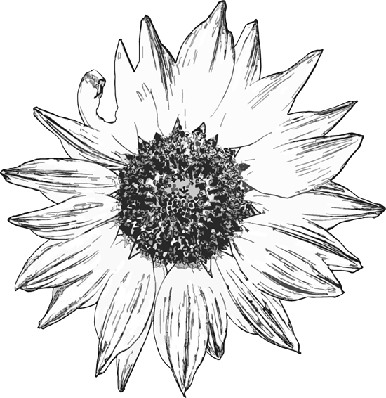 Sunflower ~ Tiffany Doodles Digital Stamps
